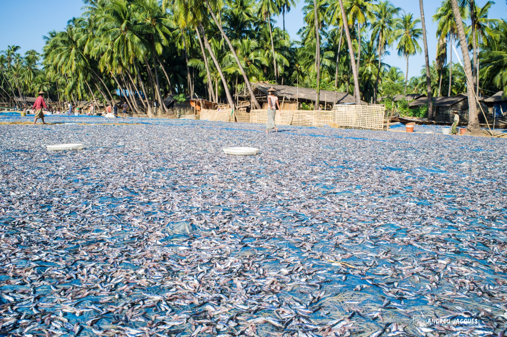 birmanie-238 (Grand).jpg